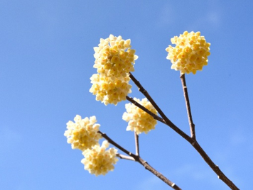 春の山歩きと、ちょっとSDGs